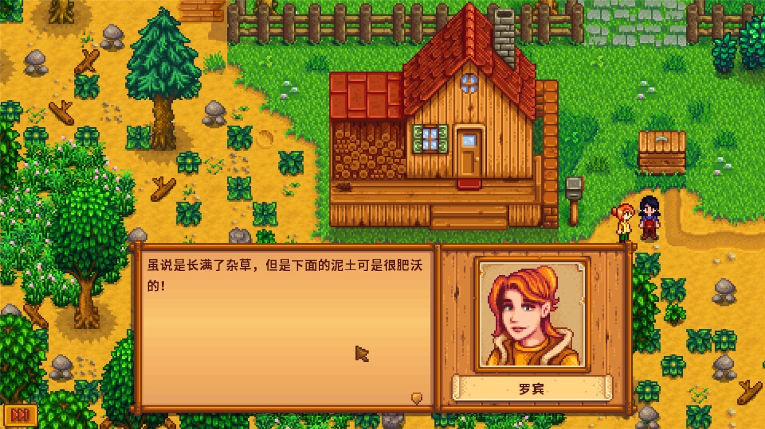 《星露谷物语》v1.6.2联机版共研网创-网赚项目-副业赚钱-互联网创业-资源整合-共研赋能共研网创社
