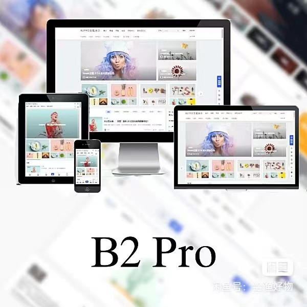 WordPress B2 Pro 主题5.2.0最新开心版,附带官方包体与授权文件共研网创-网赚项目-副业赚钱-互联网创业-资源整合-共研赋能共研网创社