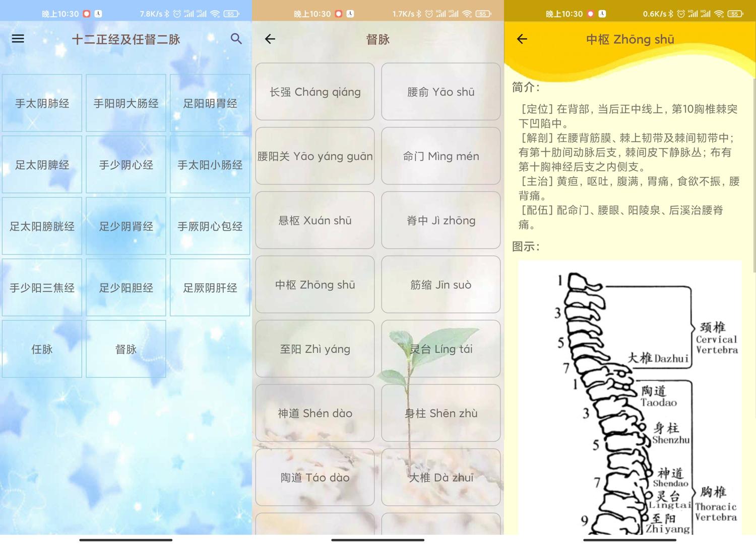 安卓人体穴位图解v3.1.4可离线版共研网创-网赚项目-副业赚钱-互联网创业-资源整合-共研赋能共研网创社