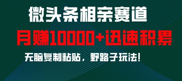 微头条相亲赛道，迅速积累，无脑复制粘贴，野路子玩法，月入1w共研网创-网赚项目-副业赚钱-互联网创业-资源整合-共研赋能共研网创社