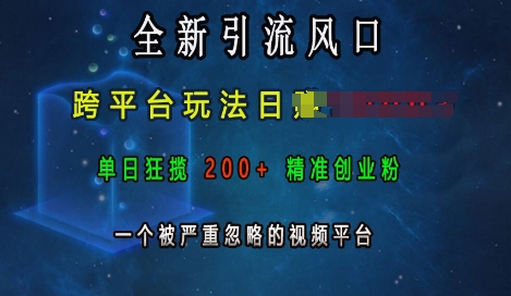 全新引流风口，跨平台玩法日入上k，单日狂揽200+精准创业粉，一个被严重忽略的视频平台共研网创-网赚项目-副业赚钱-互联网创业-资源整合-共研赋能共研网创社