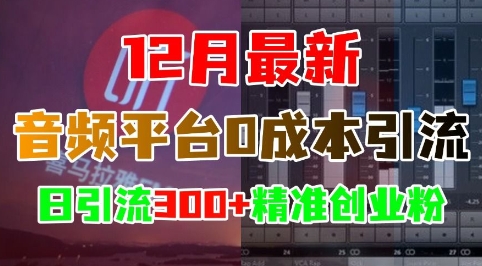 12月最新：音频平台0成本引流，日引流300+精准创业粉共研网创-网赚项目-副业赚钱-互联网创业-资源整合-共研赋能共研网创社