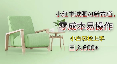 小红书减肥AI新赛道，零成本易操作，日入多张，小白轻松上手【揭秘】共研网创-网赚项目-副业赚钱-互联网创业-资源整合-共研赋能共研网创社