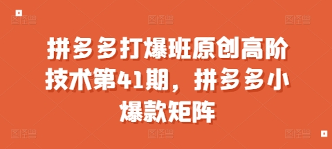 拼多多打爆班原创高阶技术第41期，拼多多小爆款矩阵共研网创-网赚项目-副业赚钱-互联网创业-资源整合-共研赋能共研网创社