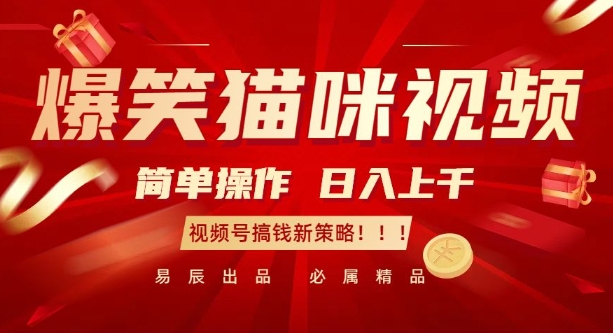 爆笑猫咪视频：简单操作，日入过K，视频号搞钱新策略【揭秘】共研网创-网赚项目-副业赚钱-互联网创业-资源整合-共研赋能共研网创社