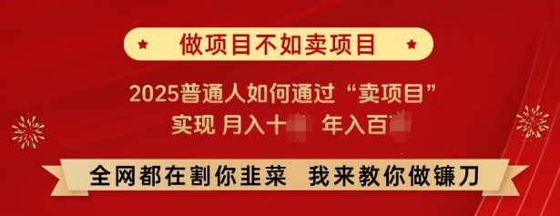 必看，做项目不如卖项目，2025普通人如何通过“卖项目”实现月入十个，年入百个共研网创-网赚项目-副业赚钱-互联网创业-资源整合-共研赋能共研网创社