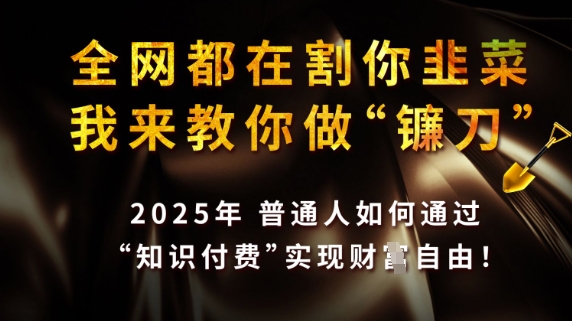 全网都在割你韭菜，我来教你做镰刀，2025普通人如何通过知识付费，实现财F自由【揭秘】共研网创-网赚项目-副业赚钱-互联网创业-资源整合-共研赋能共研网创社