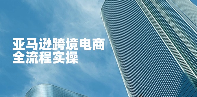 亚马逊跨境电商全流程实操，教你从零开始，掌握店铺运营与广告技巧共研网创-网赚项目-副业赚钱-互联网创业-资源整合-共研赋能共研网创社