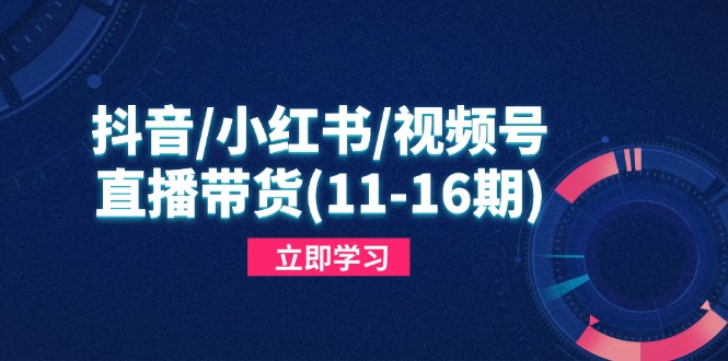 抖音/小红书/视频号/直播带货(11共研网创-网赚项目-副业赚钱-互联网创业-资源整合-共研赋能共研网创社