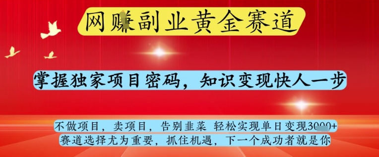 网创副业黄全赛道，掌握独家项目密码，知识变现快人一步，告别韭菜轻松实现单日变现1k+【揭秘】共研网创-网赚项目-副业赚钱-互联网创业-资源整合-共研赋能共研网创社