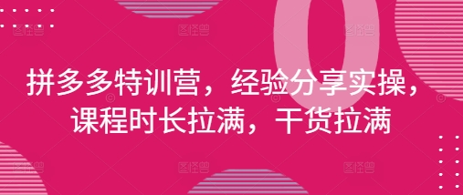 拼多多特训营，经验分享实操，课程时长拉满，干货拉满(更新25年4月)共研网创-网赚项目-副业赚钱-互联网创业-资源整合-共研赋能共研网创社