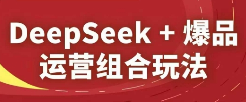 DeepSeek+爆品运营组合玩法，2025淘系精品课共研网创-网赚项目-副业赚钱-互联网创业-资源整合-共研赋能共研网创社