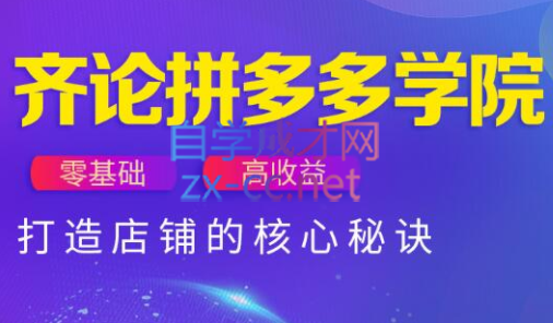 齐论拼多多vip课程共研网创-网赚项目-副业赚钱-互联网创业-资源整合-共研赋能共研网创社