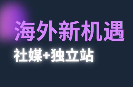 棕榈·2025出海新机遇(社媒+独立站)共研网创-网赚项目-副业赚钱-互联网创业-资源整合-共研赋能共研网创社