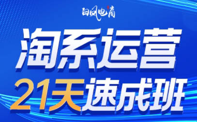 白凤电商·淘系运营21天速成班(更新5月)共研网创-网赚项目-副业赚钱-互联网创业-资源整合-共研赋能共研网创社