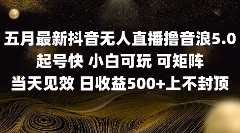 2025五月最新无人直播撸音浪单日产出5张+实操教程【揭秘】共研网创-网赚项目-副业赚钱-互联网创业-资源整合-共研赋能共研网创社