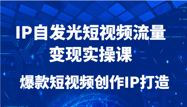 IP自发光短视频流量变现实操课，爆款短视频创作IP打造共研网创-网赚项目-副业赚钱-互联网创业-资源整合-共研赋能共研网创社