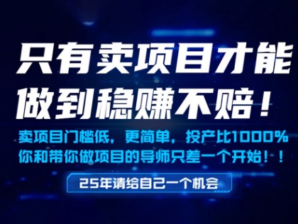 只有卖项目才能做到稳挣不赔，门槛低，更简单，你也可以年入百个W【揭秘】共研网创-网赚项目-副业赚钱-互联网创业-资源整合-共研赋能共研网创社
