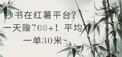 抄书在小红薯平台？平均一单30米，一天收益几张！共研网创-网赚项目-副业赚钱-互联网创业-资源整合-共研赋能共研网创社