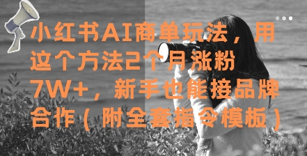 小红书AI商单玩法，用这个方法2个月涨粉7W+，新手也能接品牌合作(附全套指令模板)共研网创-网赚项目-副业赚钱-互联网创业-资源整合-共研赋能共研网创社