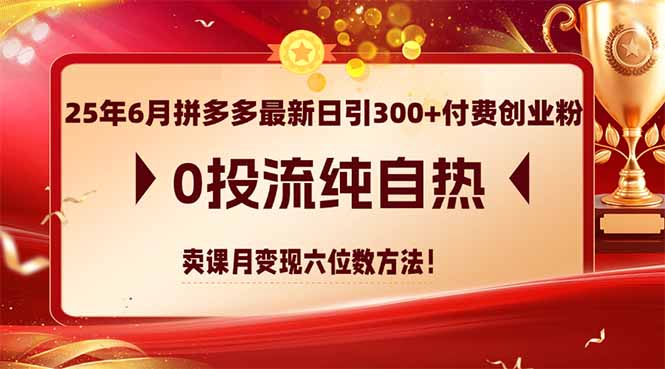 25年6月拼多多最新日引300+付费创业粉，0投流纯自热 卖课月变现六位数方法共研网创-网赚项目-副业赚钱-互联网创业-资源整合-共研赋能共研网创社
