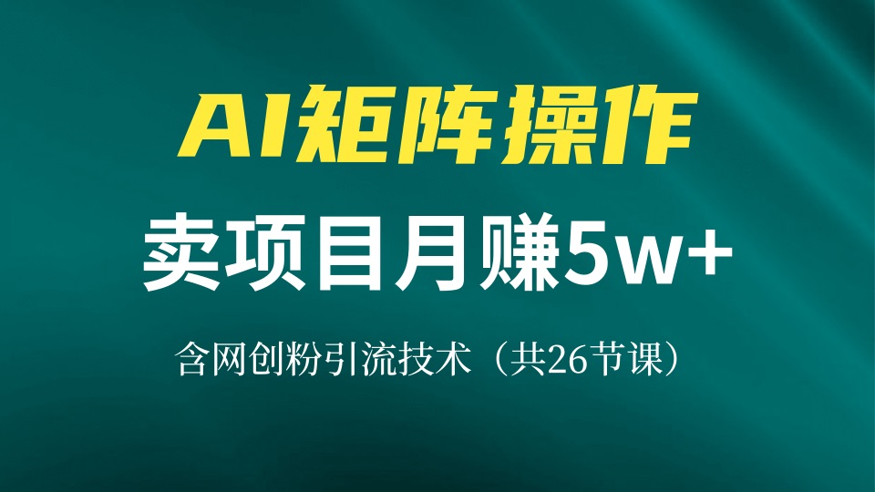 网创IP打造课，借助AI卖项目月赚5万+，含引流技术(共26节课共研网创-网赚项目-副业赚钱-互联网创业-资源整合-共研赋能共研网创社