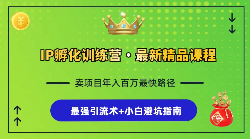 IP孵化训练营，知识付费全流程+最强引流术+小白避坑指南共研网创-网赚项目-副业赚钱-互联网创业-资源整合-共研赋能共研网创社