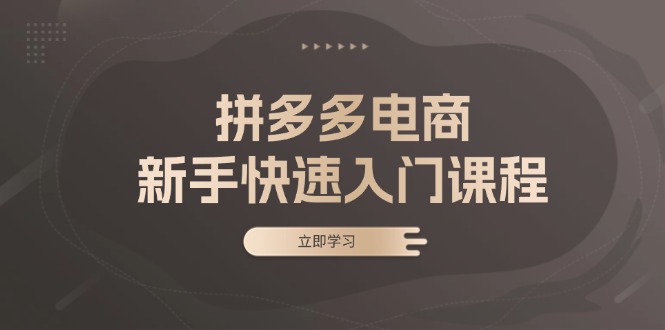 拼多多电商新手快速入门课程：涵盖基础、实战与选款，助力小白轻松上手共研网创-网赚项目-副业赚钱-互联网创业-资源整合-共研赋能共研网创社