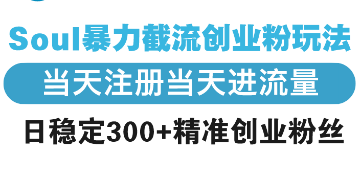 Soul暴力截流创业粉玩法，当天注册当天进流量，日稳定300+精准创业粉丝-寒山客