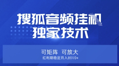 【搜狐音频挂G】独家技术，可矩阵可放大，红利期稳定月入8k【揭秘】-寒山客