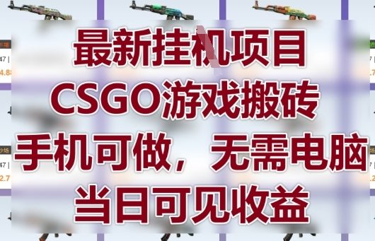 最新挂G项目，CSGO游戏搬砖，手机可做，无需电脑，当日见收益【揭秘】-寒山客
