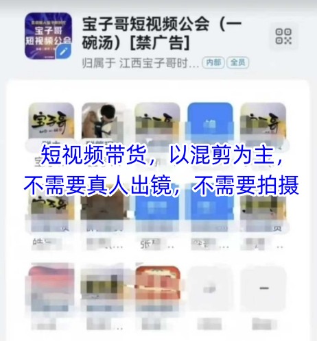 宝子哥头部团队短视频带货，以混剪为主，不需要真人出镜，不需要拍摄-寒山客