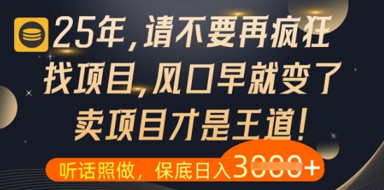 什么？25年你还在疯狂找项目做，醒醒吧，看完这些你全都懂了【揭秘】-寒山客