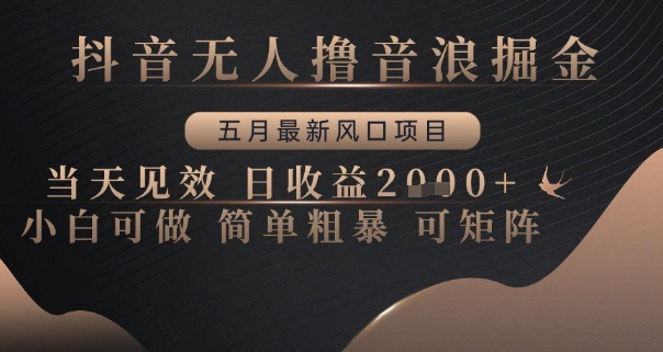 抖音无人撸音浪掘金，五月最新风口项目，当天见效，日收益多张，小白可做简单粗暴可矩阵【揭秘】-寒山客
