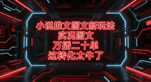 小说推文图文新玩法，实况图文，万播二十单，这转化太牛了！-寒山客