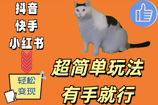 超简单玩法，有手就行，靠猫咪视频日入500+【揭秘】共研网创-网赚项目-副业赚钱-互联网创业-资源整合-共研赋能共研网创社
