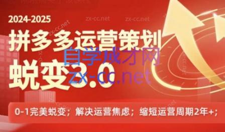 大力老师·2024拼多多运营策略蜕变3.0共研网创-网赚项目-副业赚钱-互联网创业-资源整合-共研赋能共研网创社