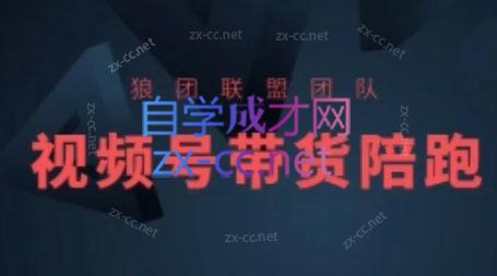 狼团联盟·2024视频号带货共研网创-网赚项目-副业赚钱-互联网创业-资源整合-共研赋能共研网创社