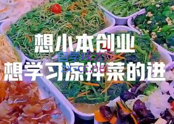 李记·精品凉拌菜系列热卤系列教程共研网创-网赚项目-副业赚钱-互联网创业-资源整合-共研赋能共研网创社