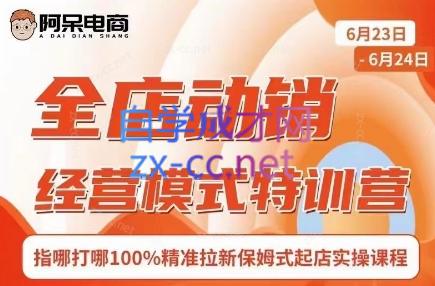 阿呆电商·全店动销经营模式特训营(线下录音+思维导图)共研网创-网赚项目-副业赚钱-互联网创业-资源整合-共研赋能共研网创社